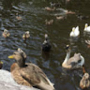 Meet your Posher, Emma